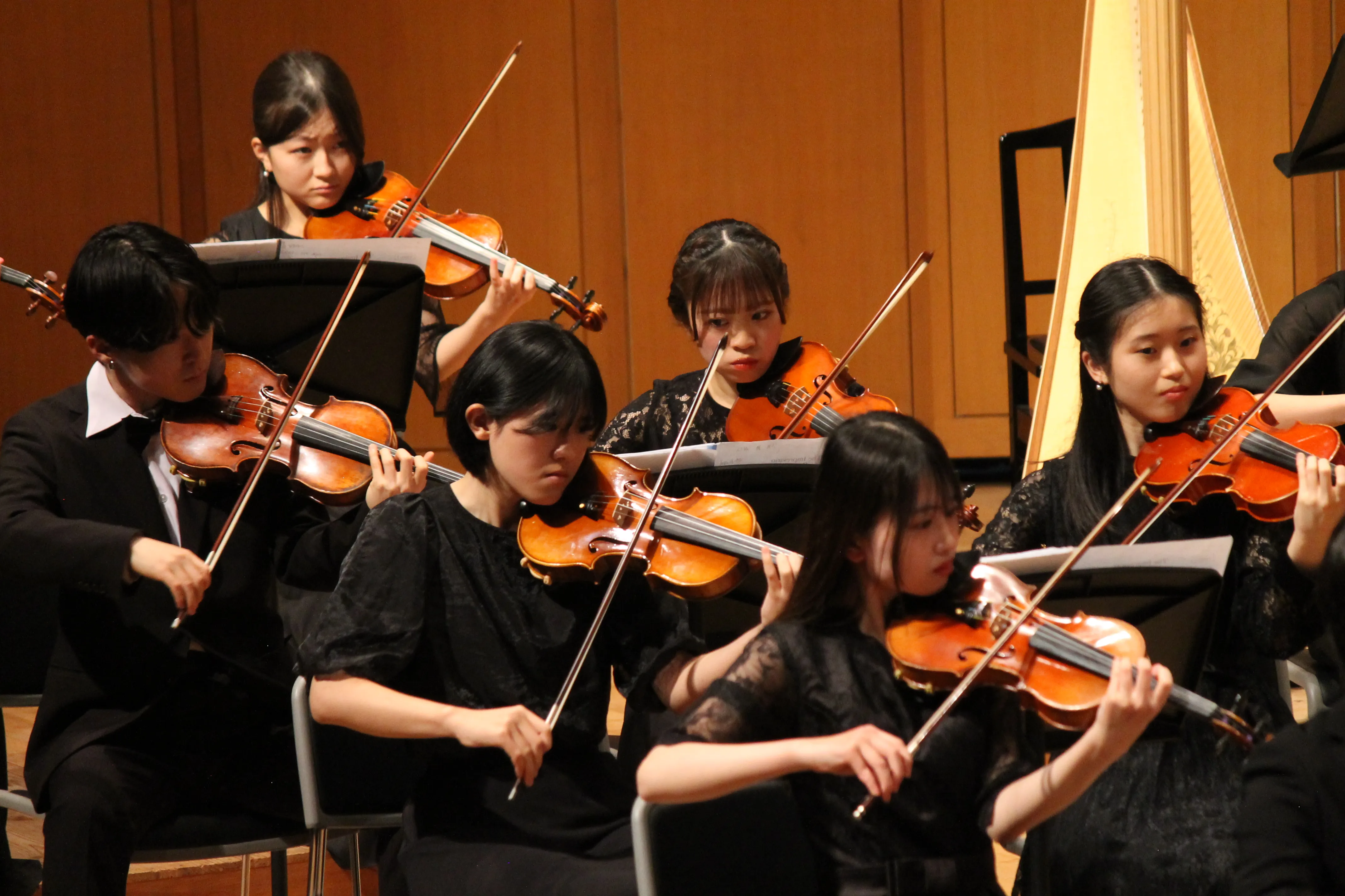 管弦楽団の活動写真