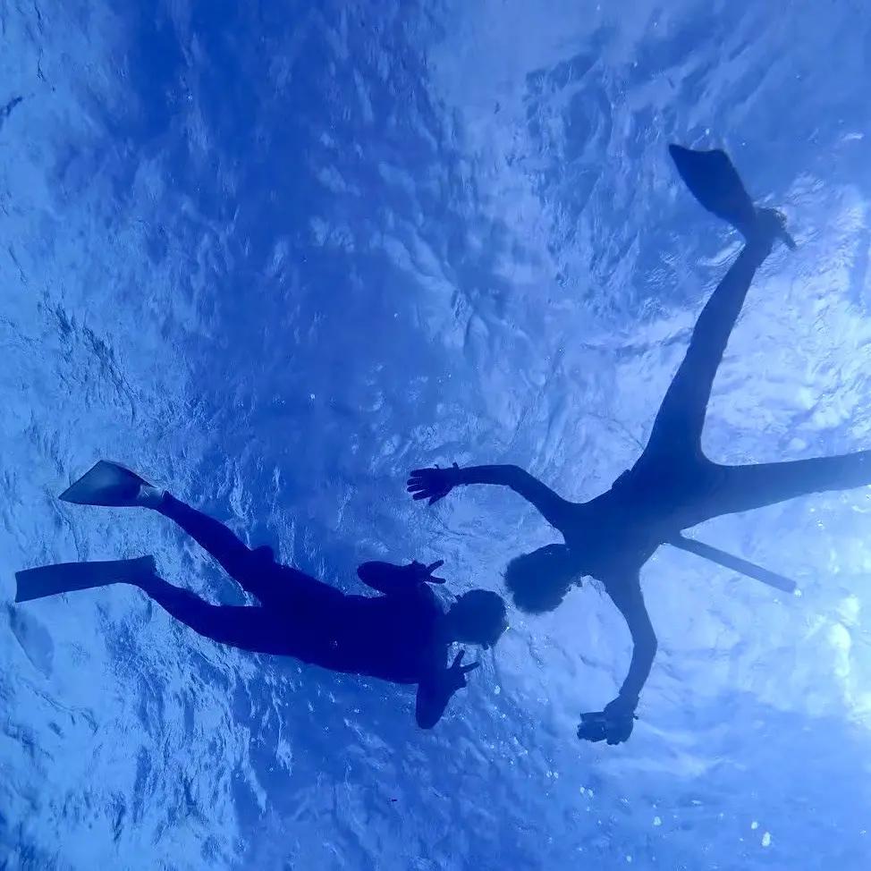 海洋研究会の活動写真