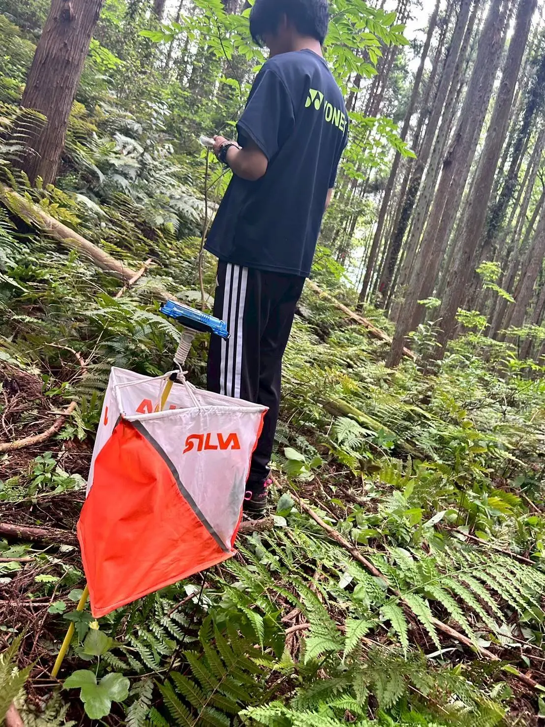 オリエンテーリング部の活動写真