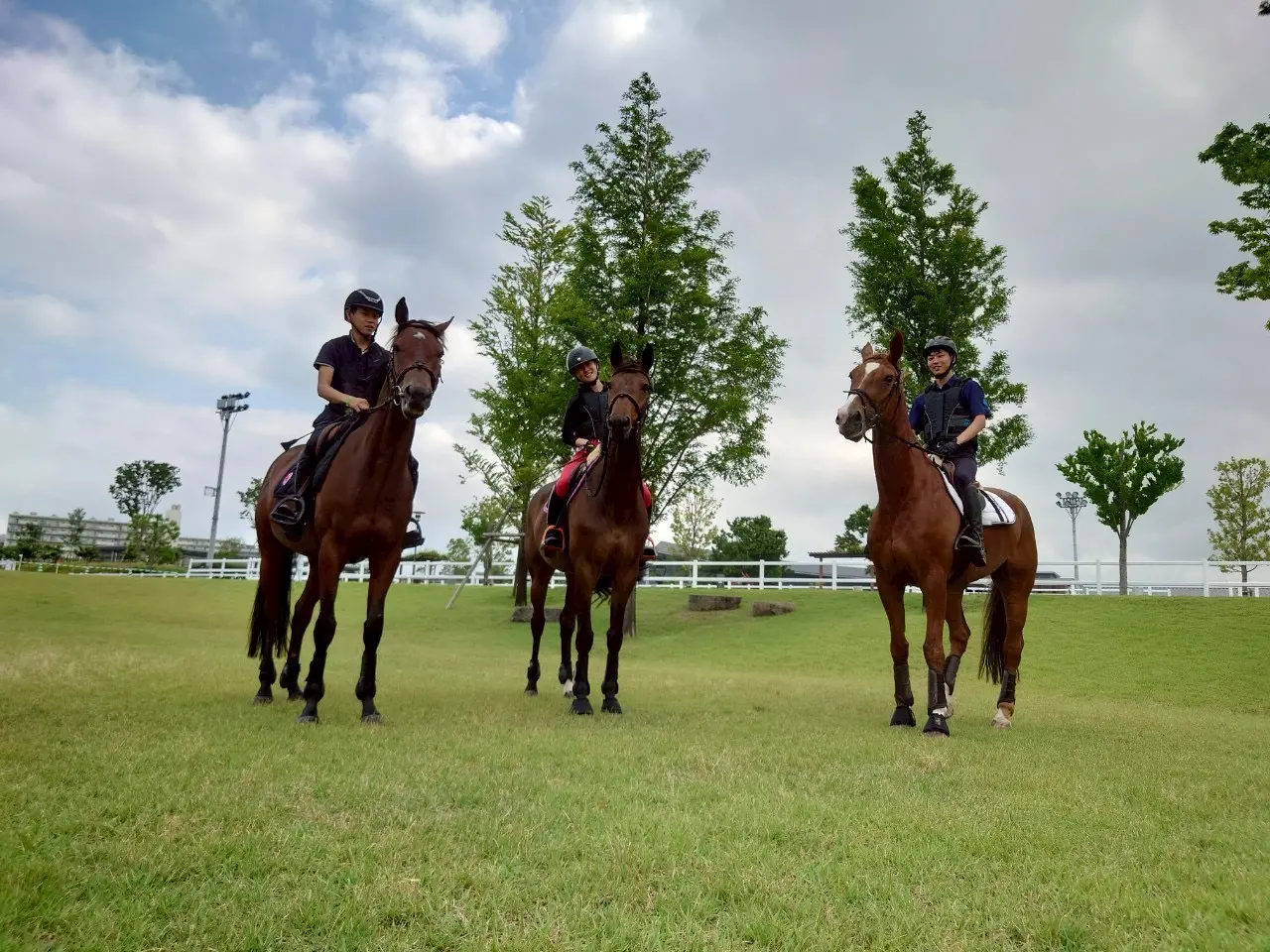 馬術部の活動写真