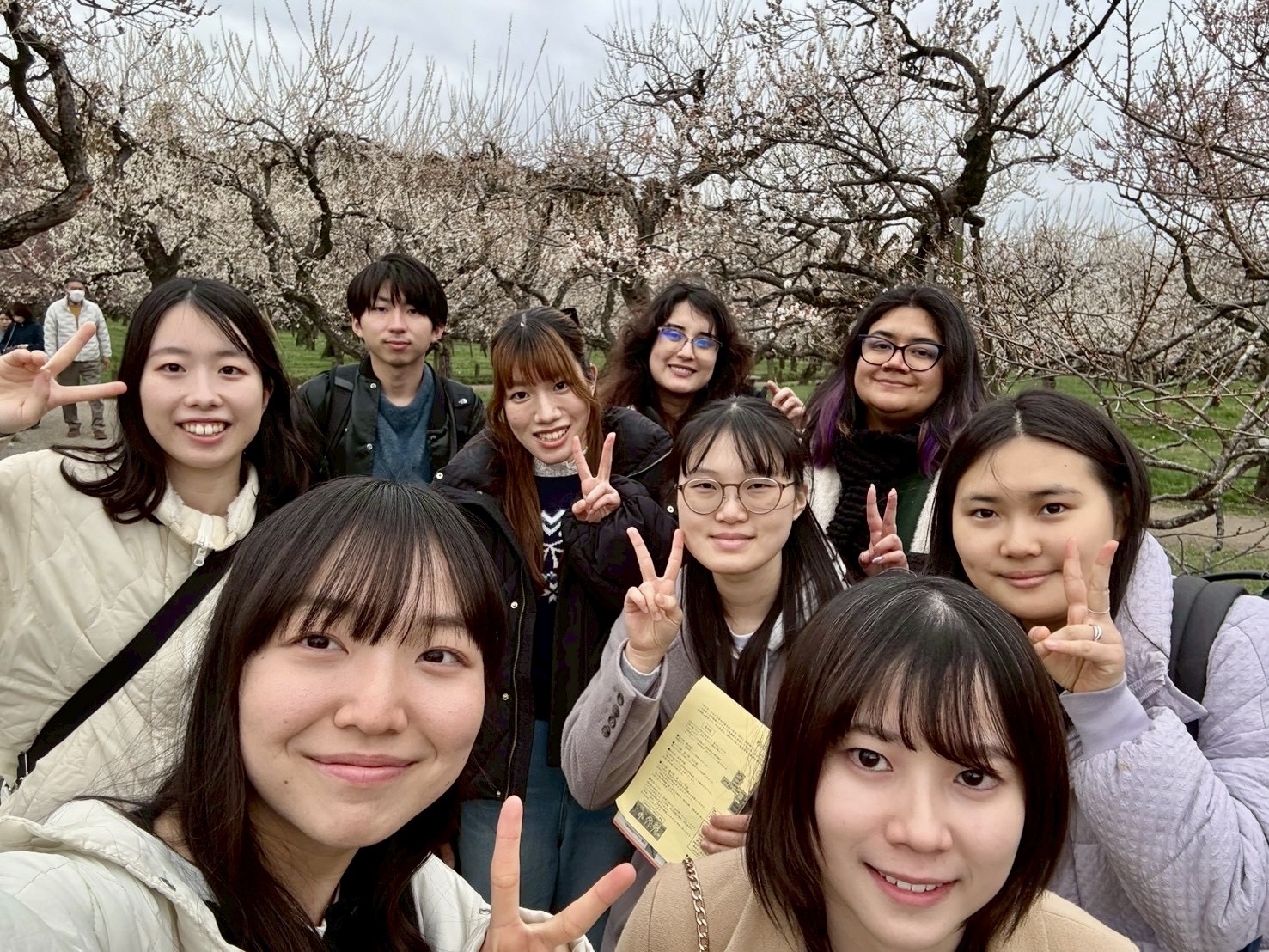 茶道部和敬清寂社の活動写真