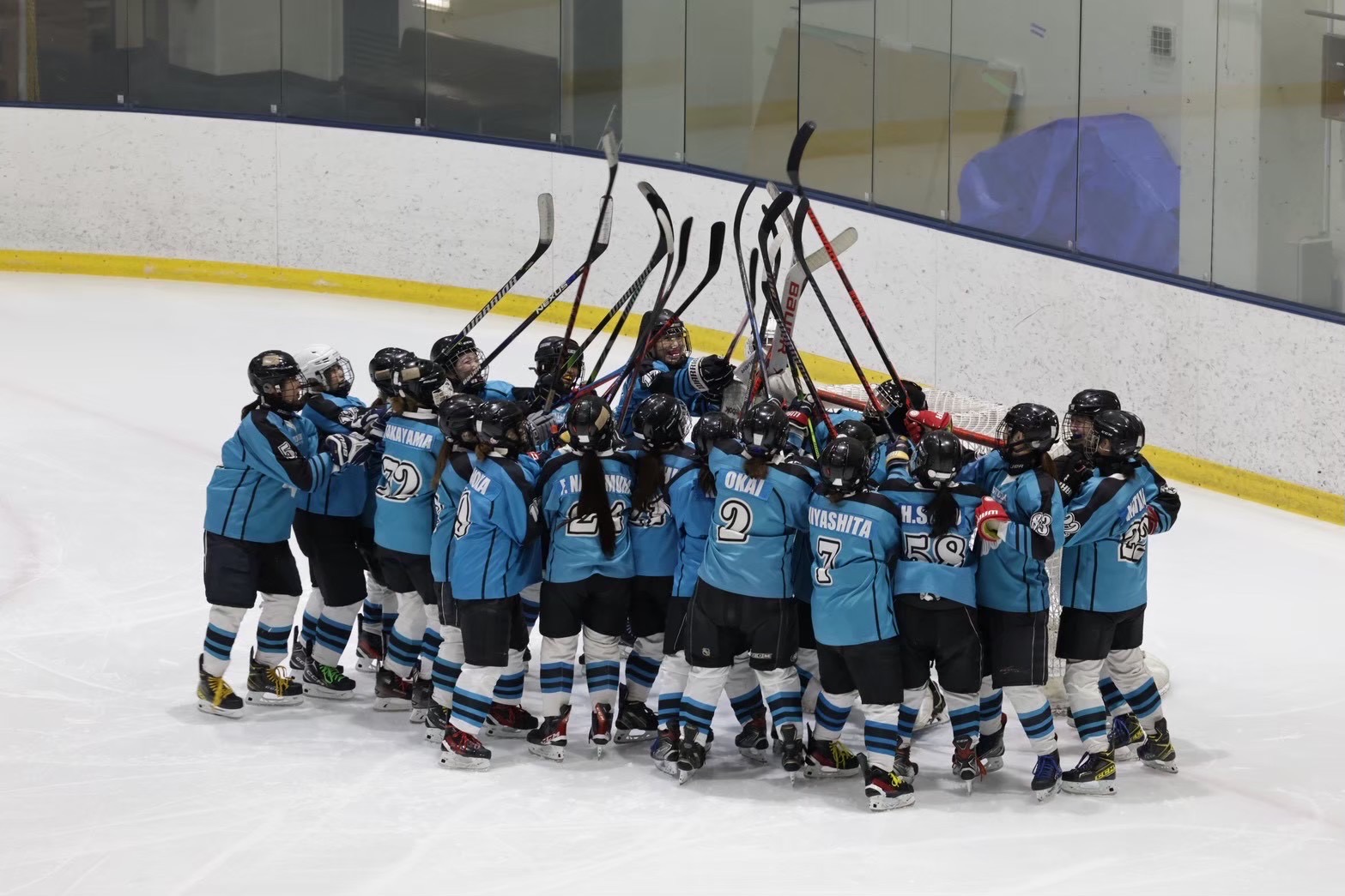 女子アイスホッケー部のサムネイル画像