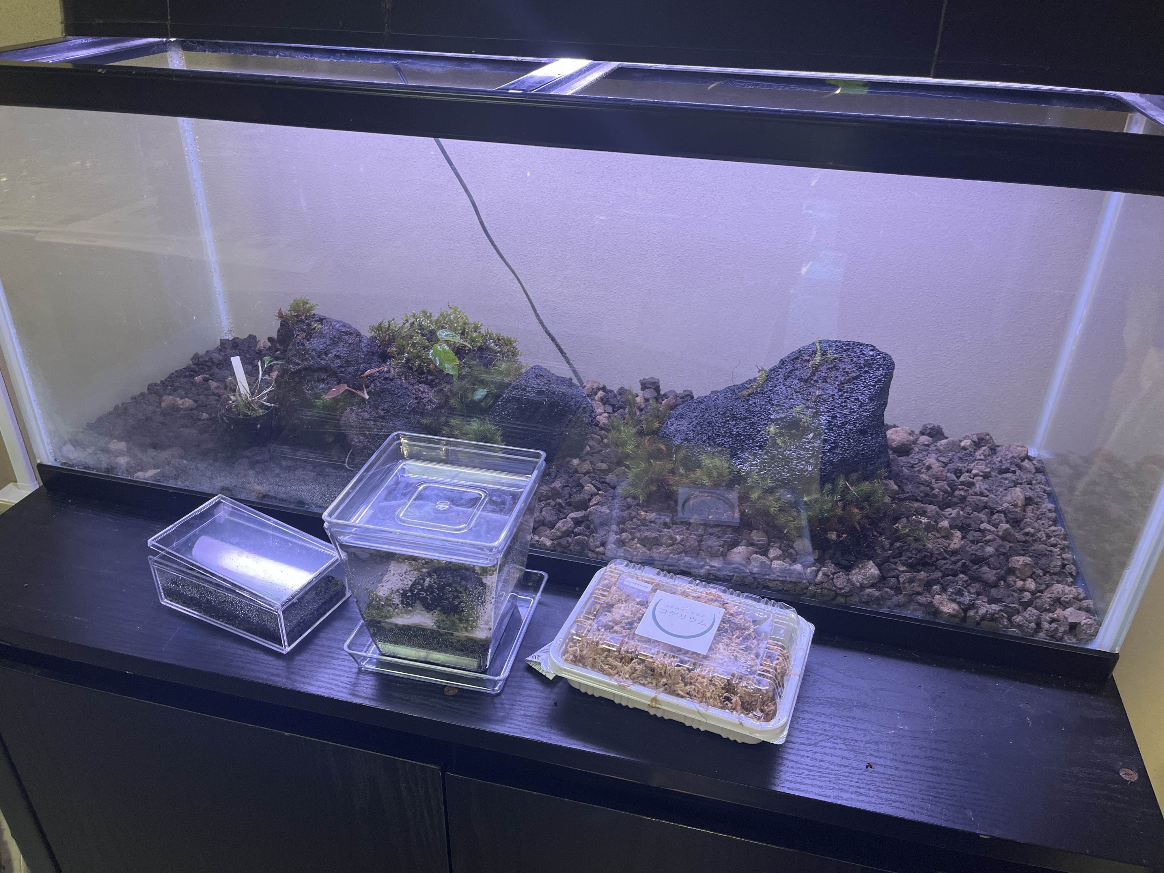 つくリウムの活動写真