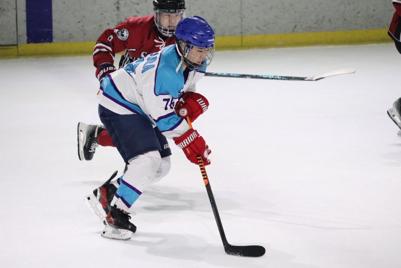 男子アイスホッケー部の活動写真