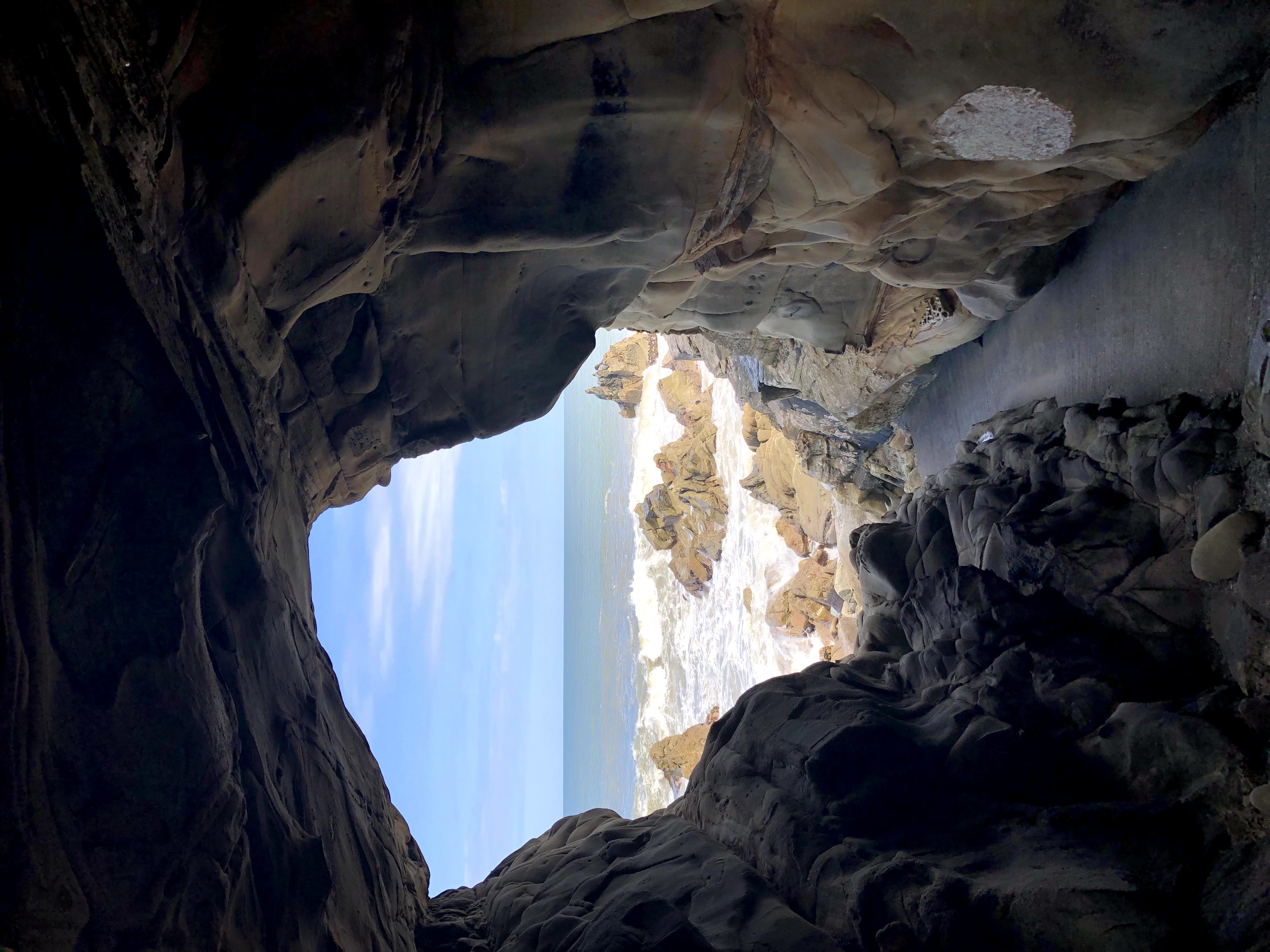 ジオネットアースの活動写真