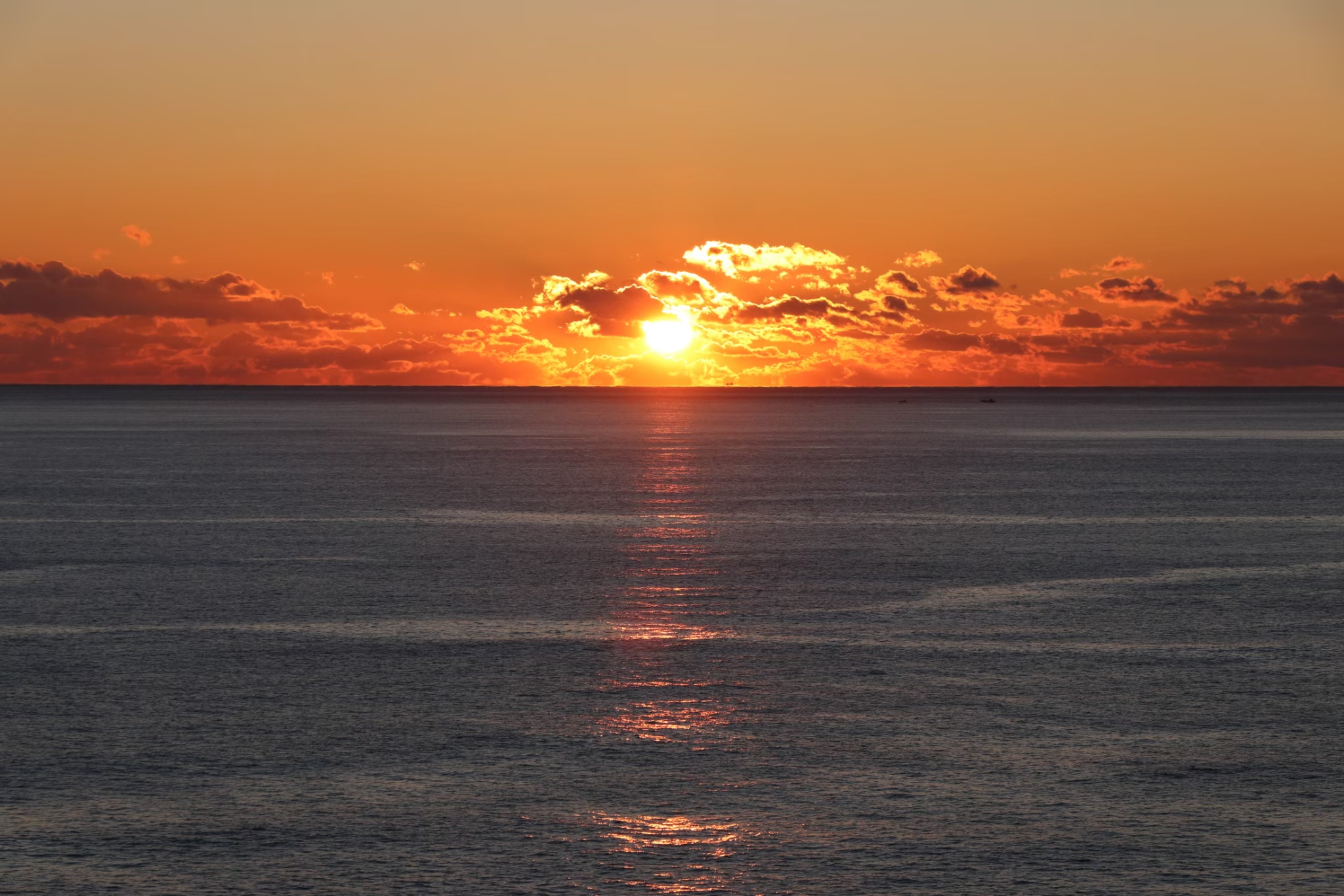 写真部さくら組の活動写真