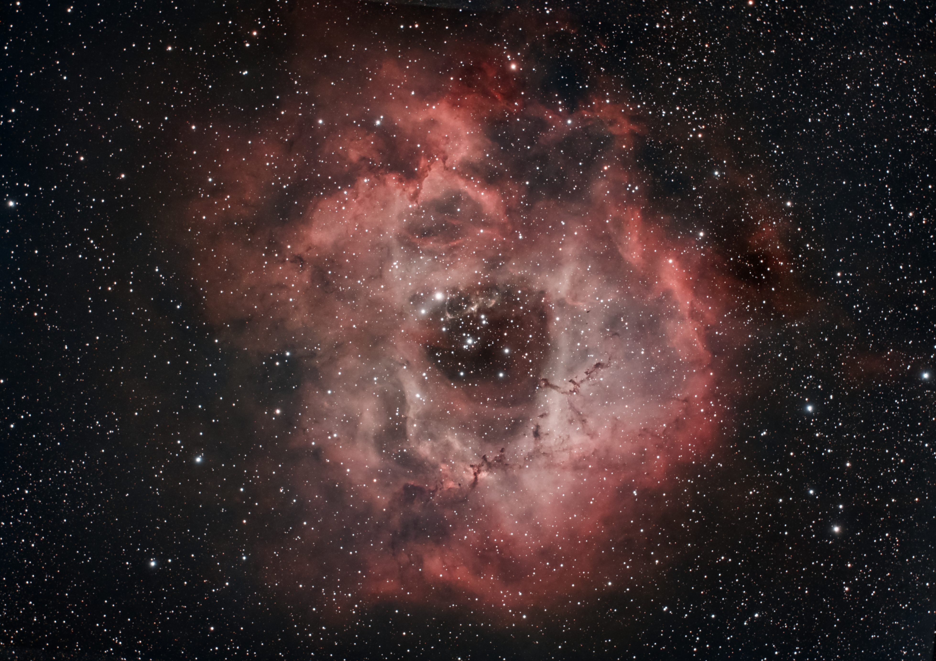 天文研究会の活動写真