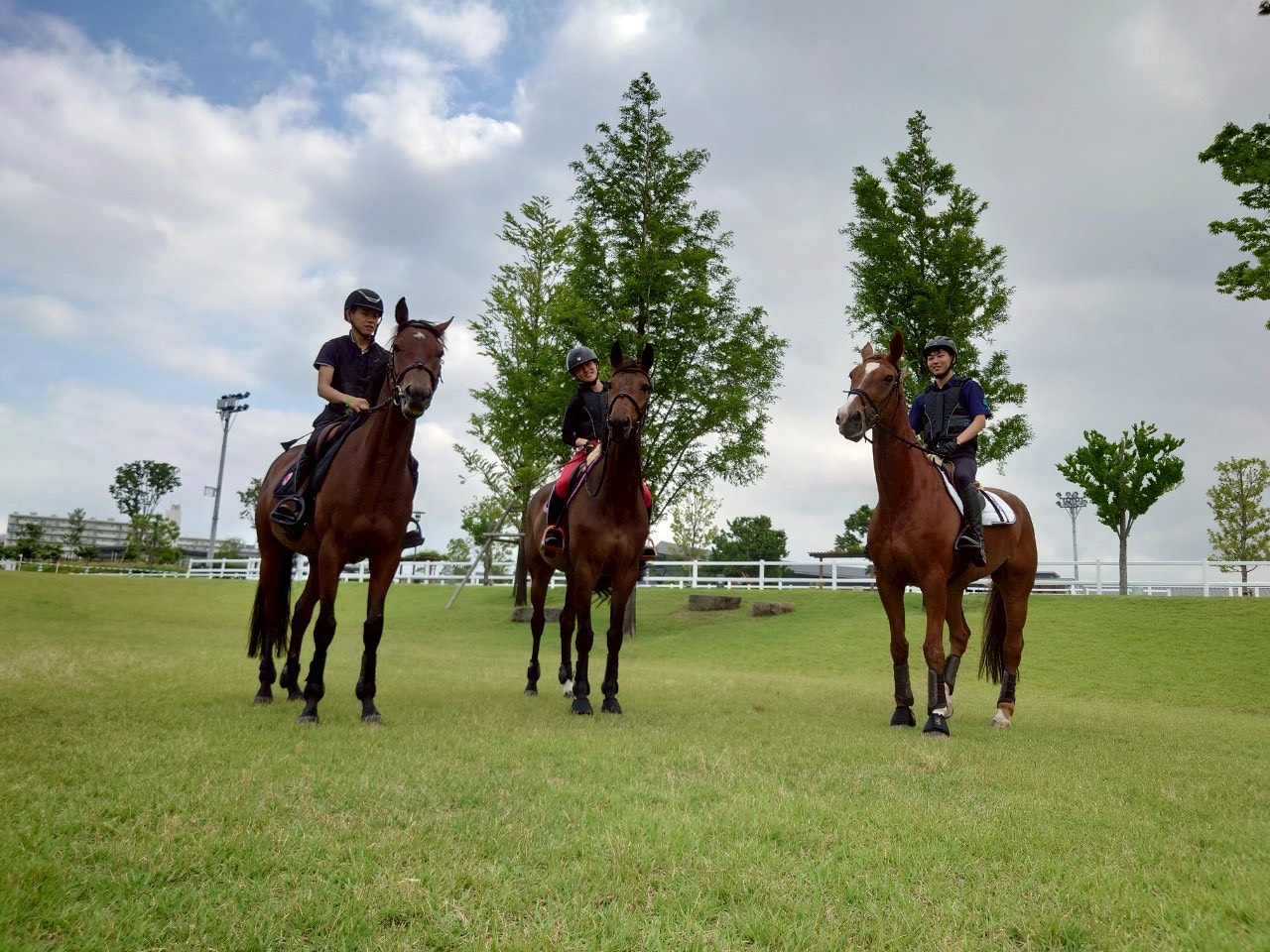 馬術部の活動写真