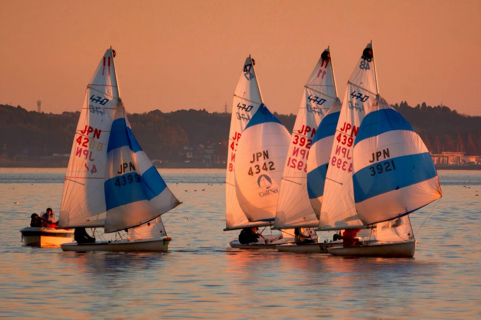 医学ヨット部の活動写真