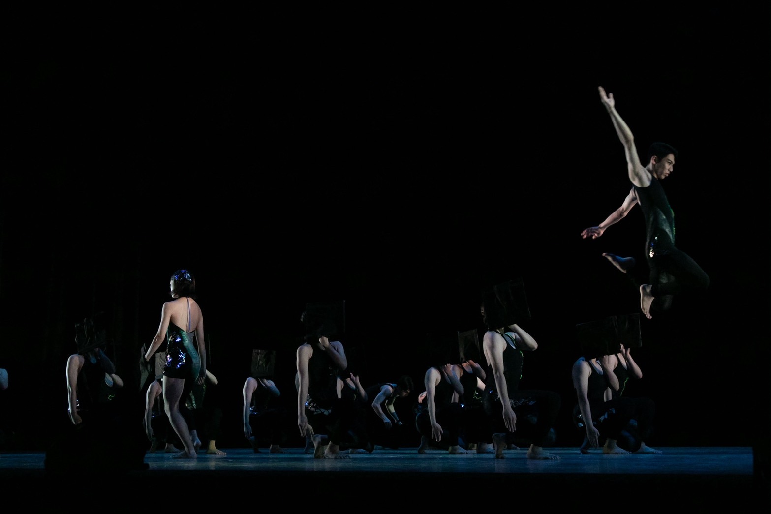 ダンス部の活動写真