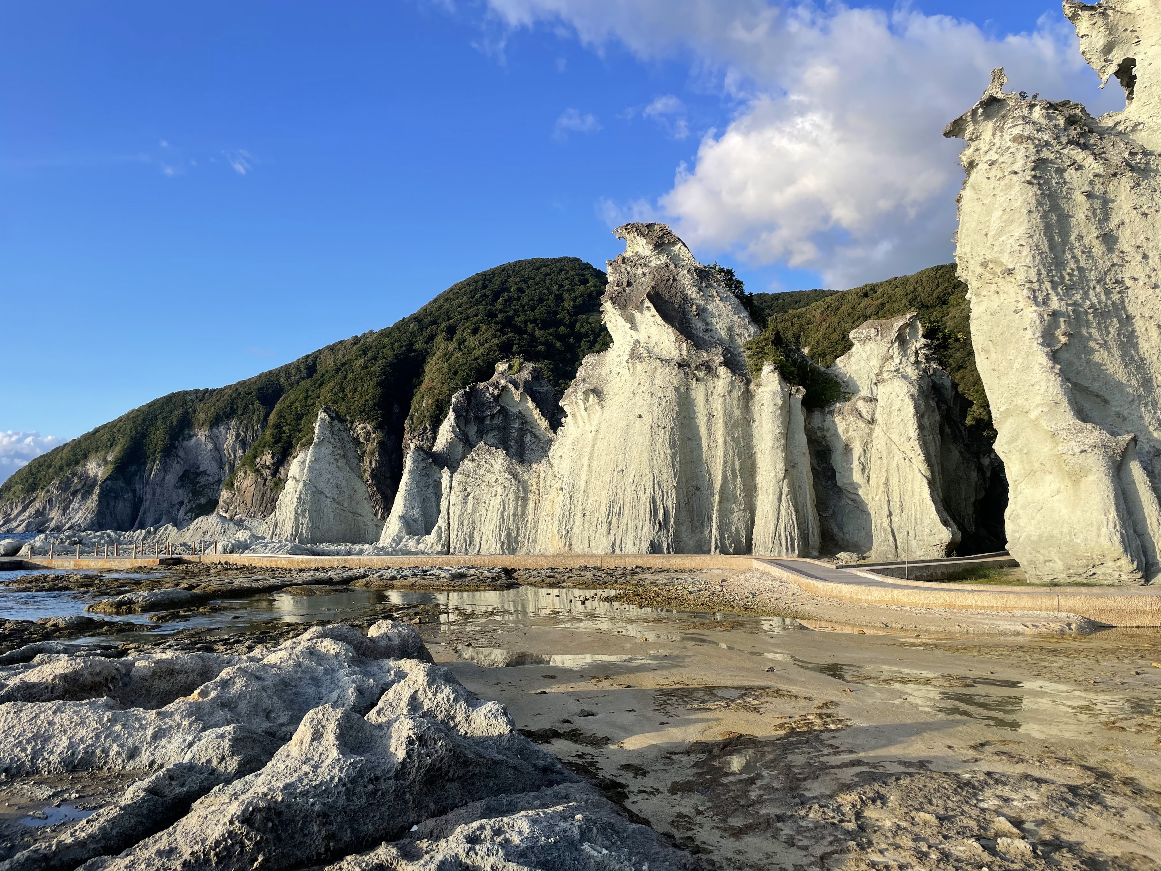 ジオネットアースの活動写真
