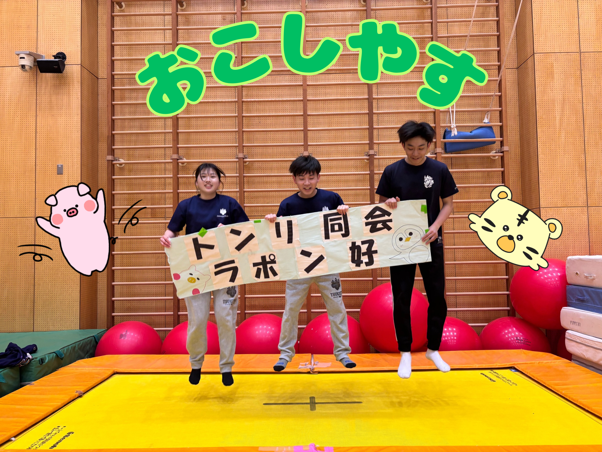 トランポリン同好会のサムネイル画像