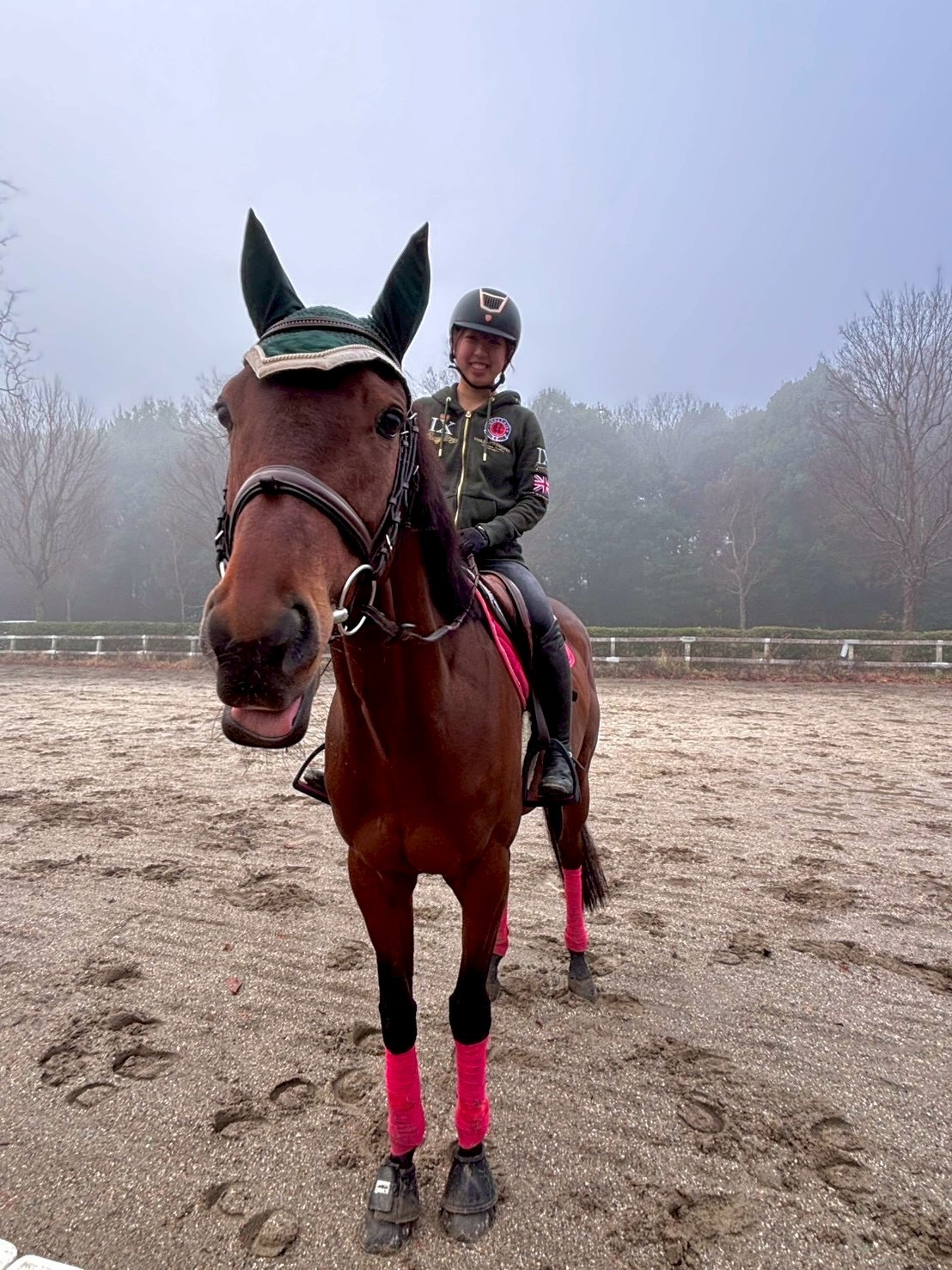 馬術部の活動写真