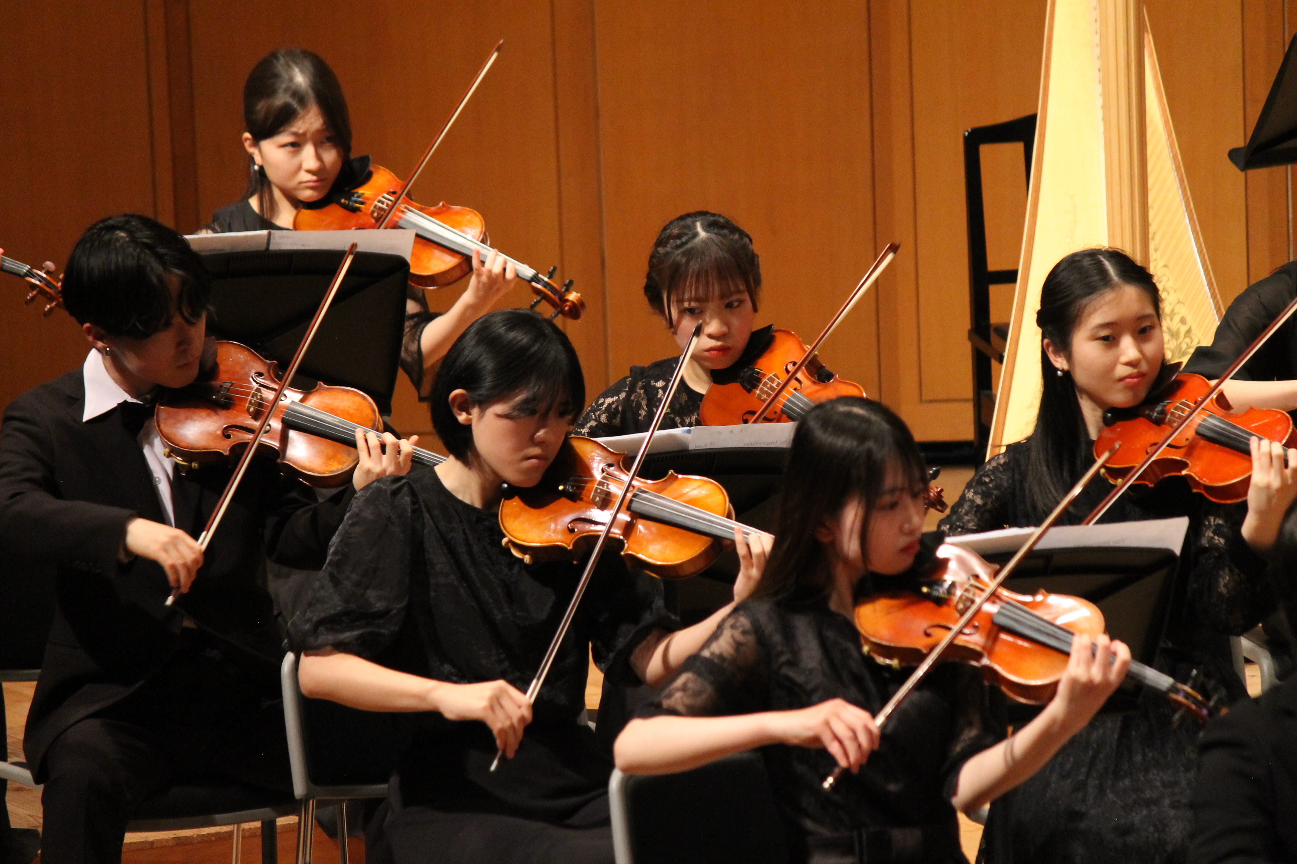 管弦楽団の活動写真