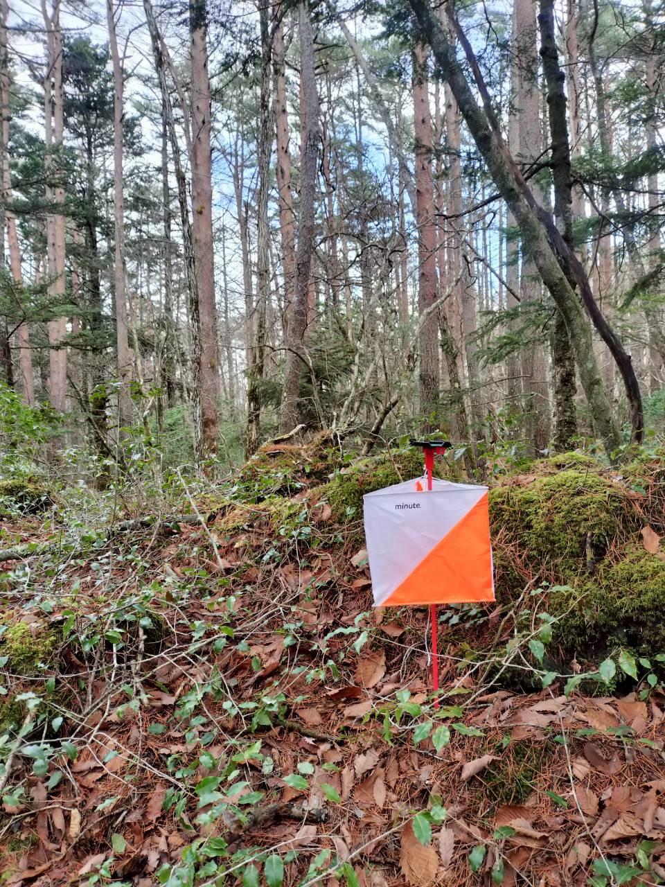 オリエンテーリング部の活動写真