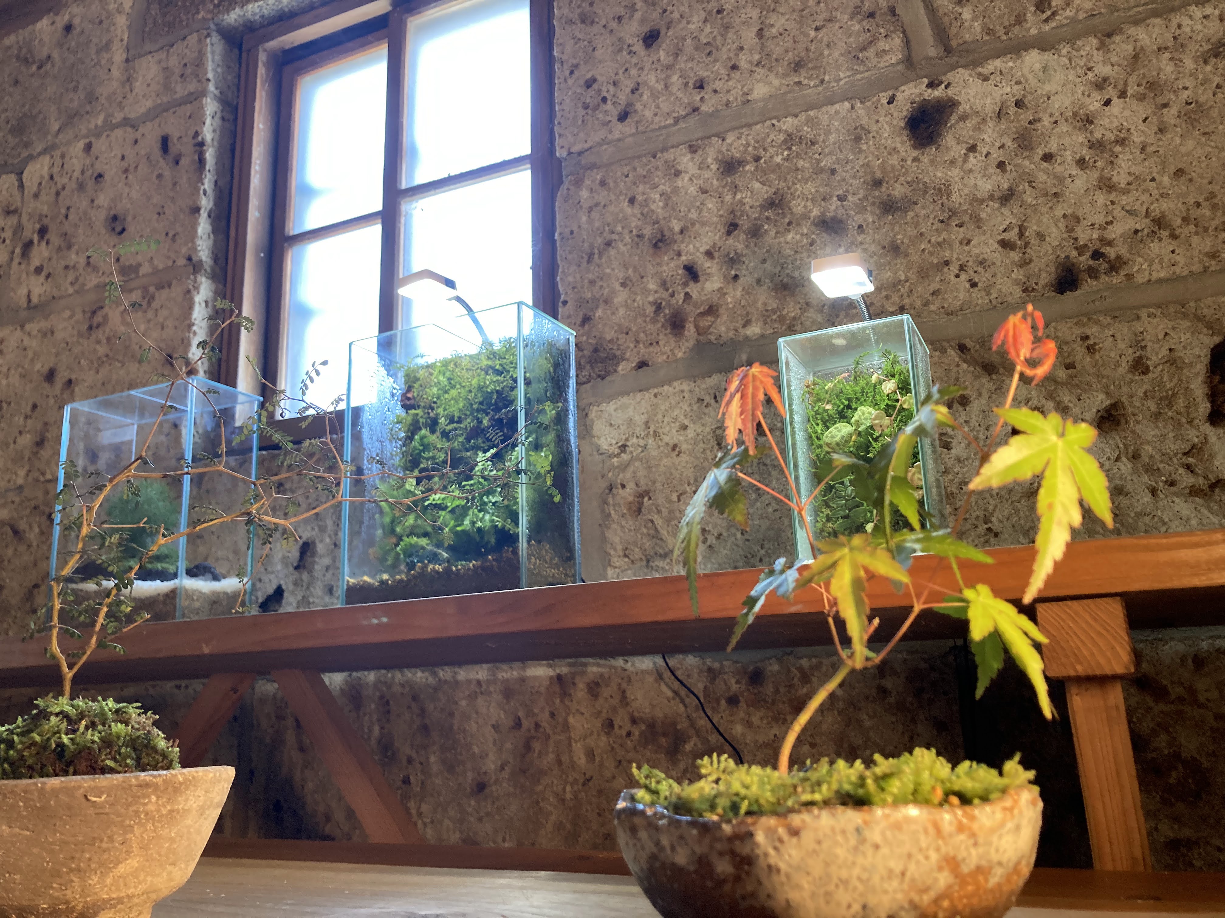 つくリウムの活動写真