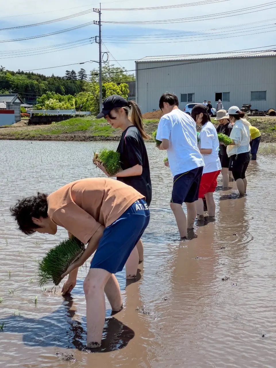 のうりんむらの活動写真