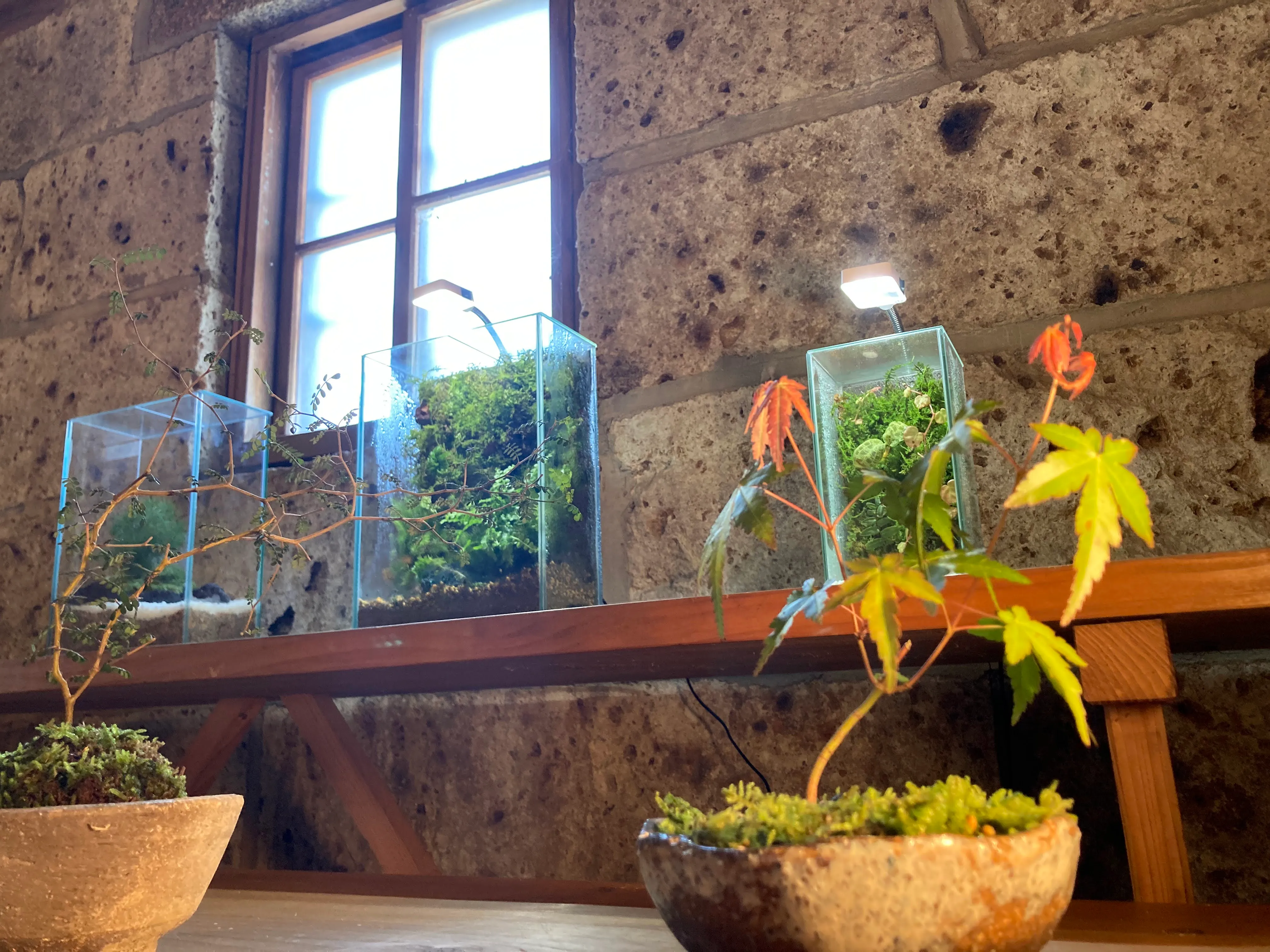 つくリウムの活動写真