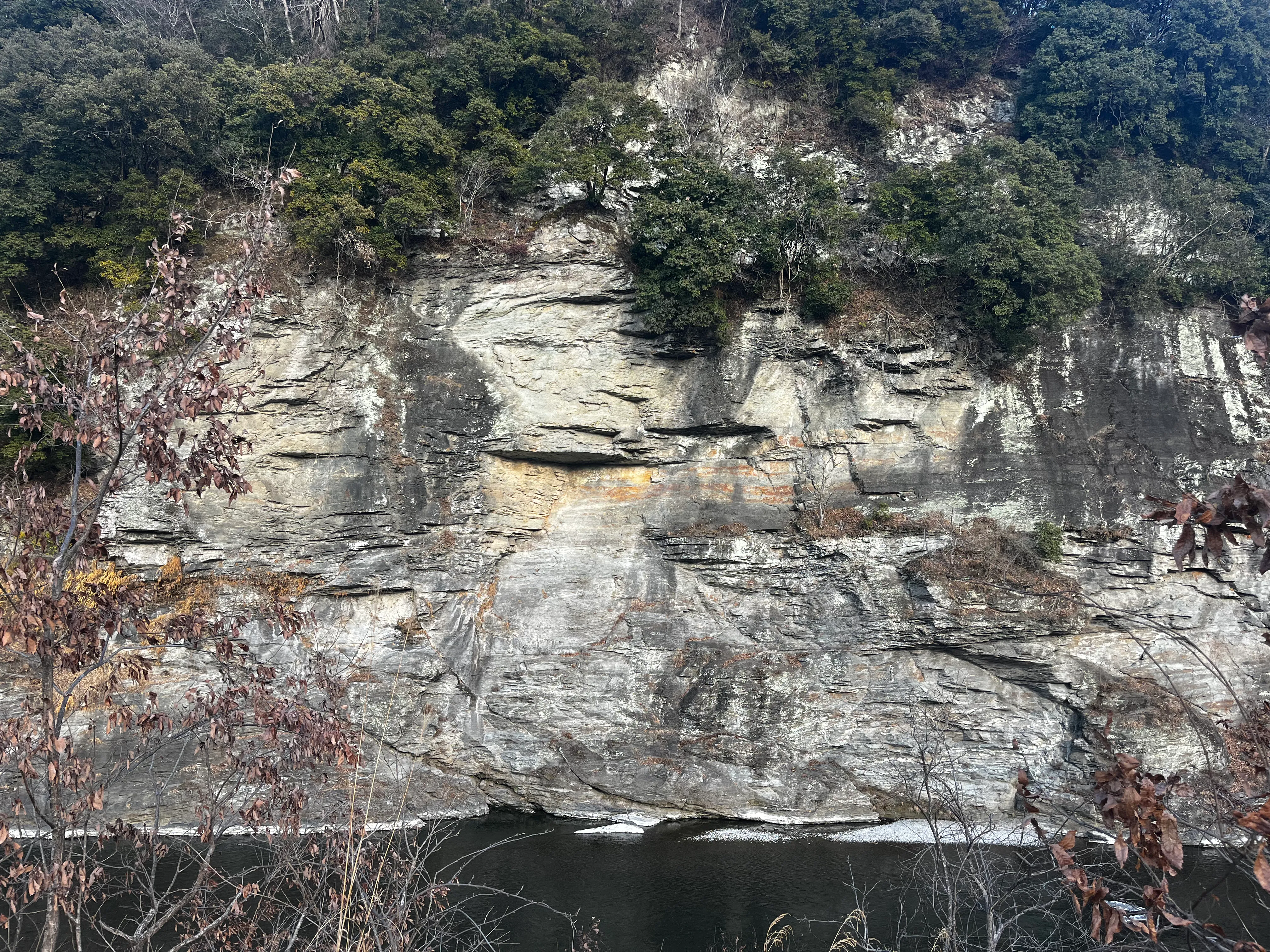 ジオネットアースの活動写真