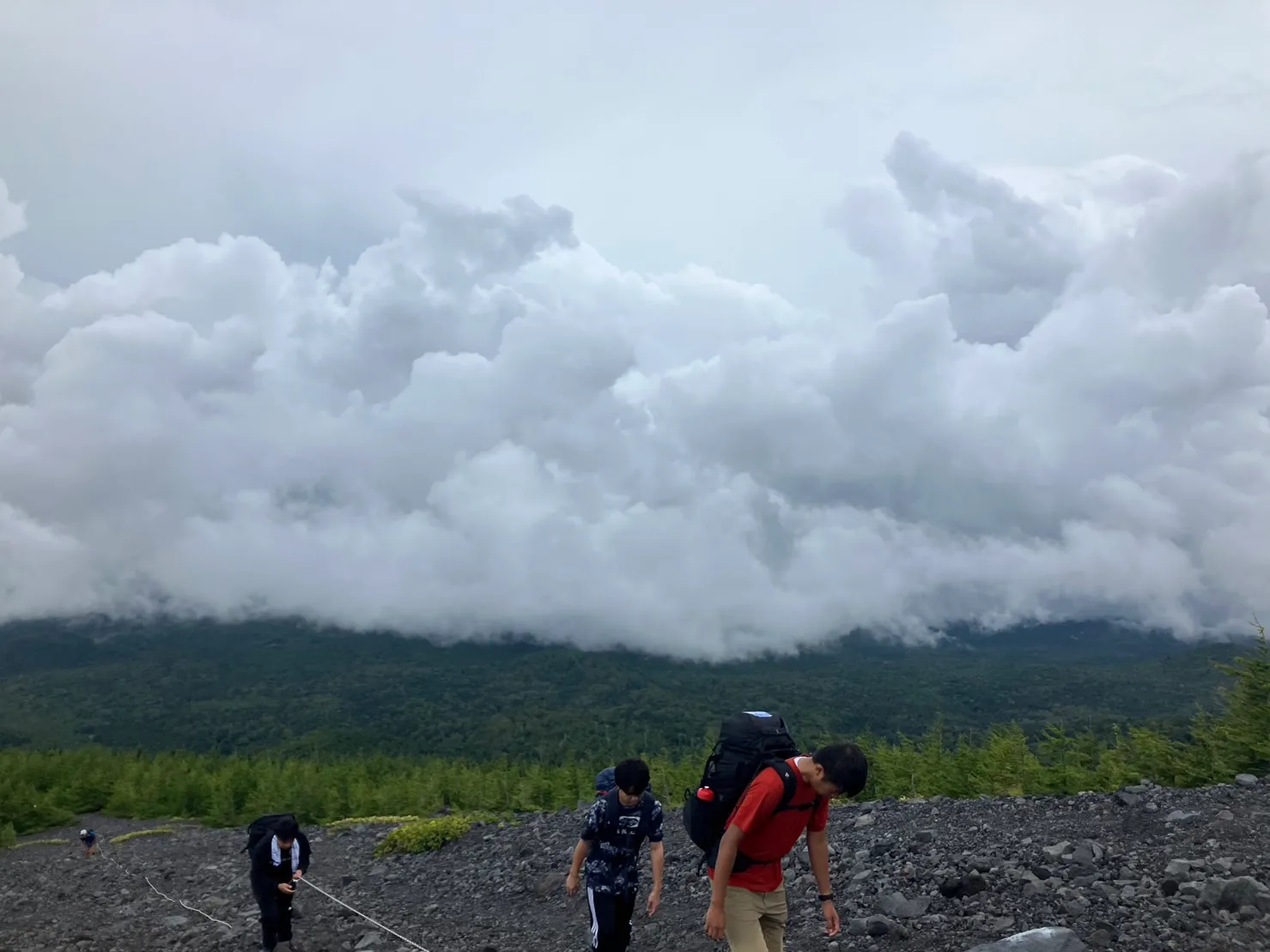 ジオネットアースの活動写真