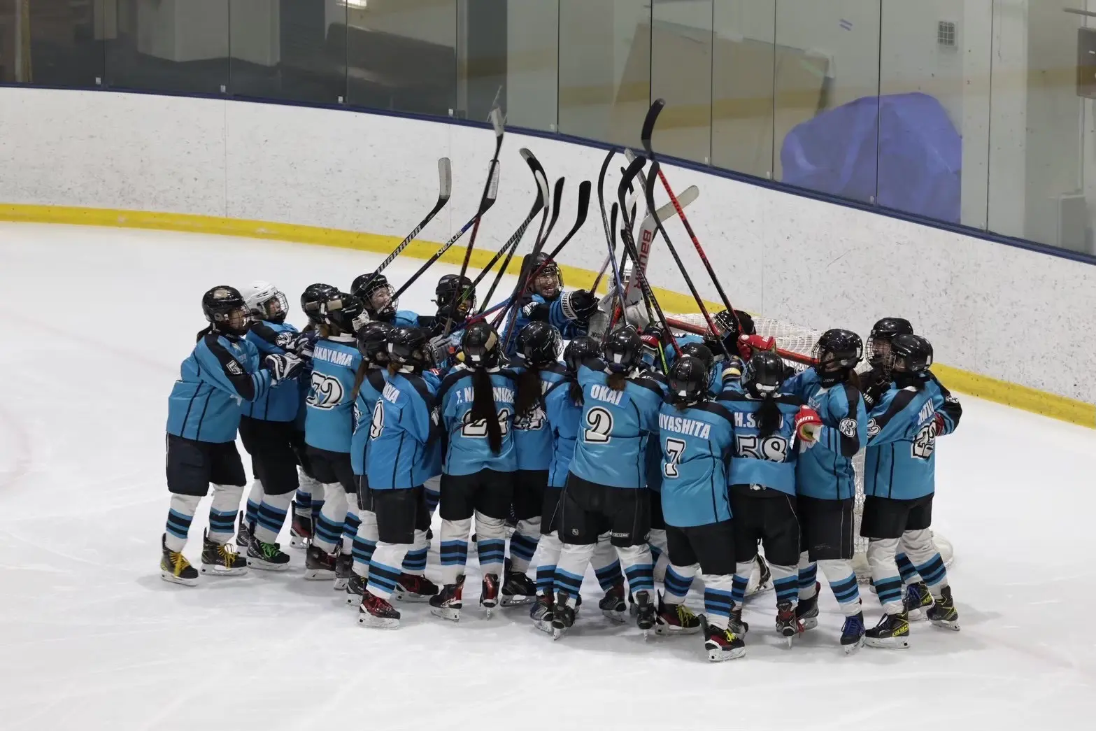 女子アイスホッケー部のサムネイル画像