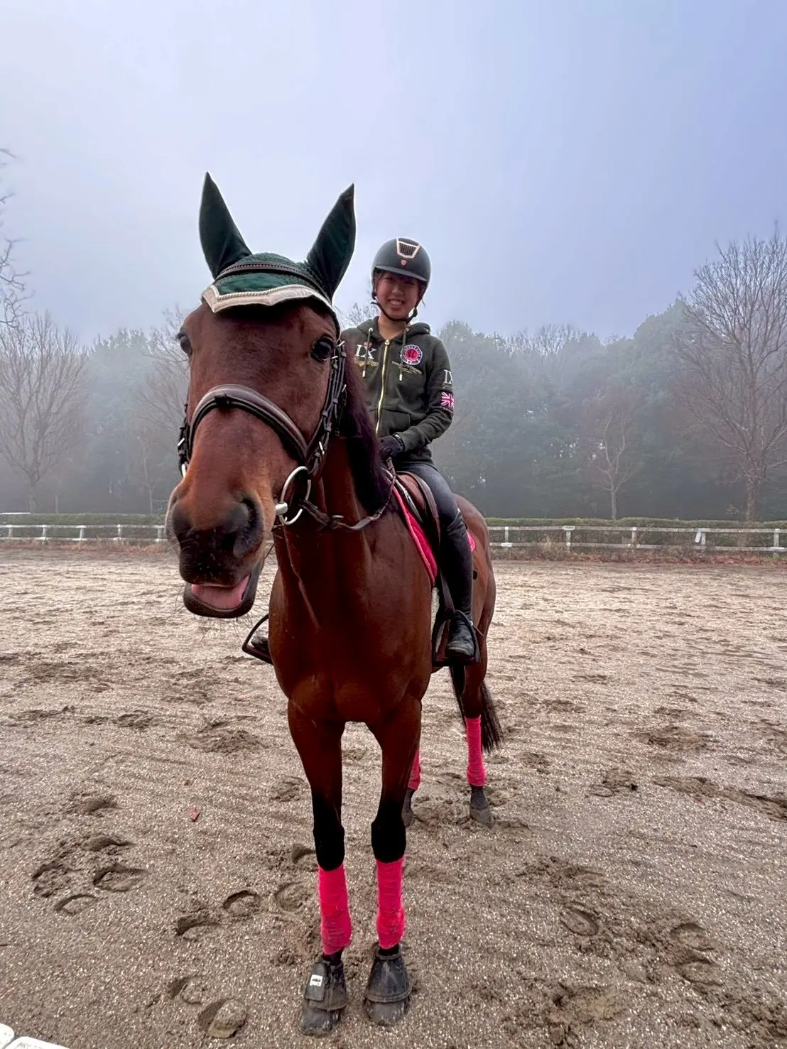 馬術部の活動写真