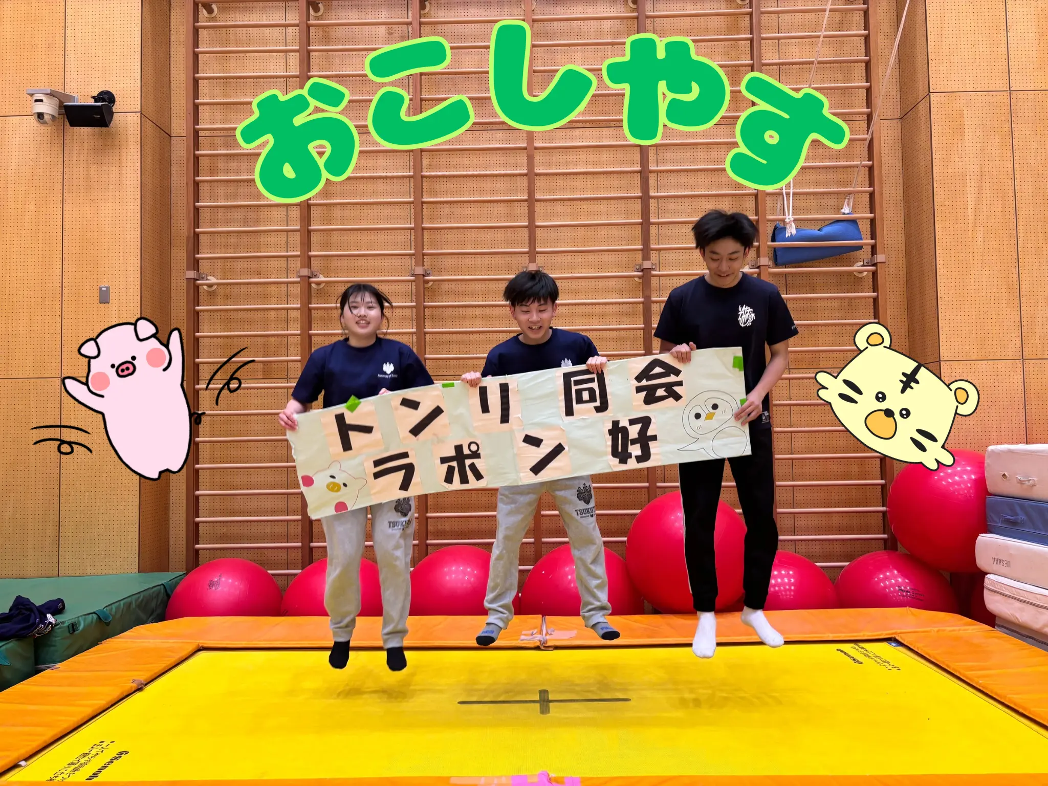 トランポリン同好会のサムネイル画像