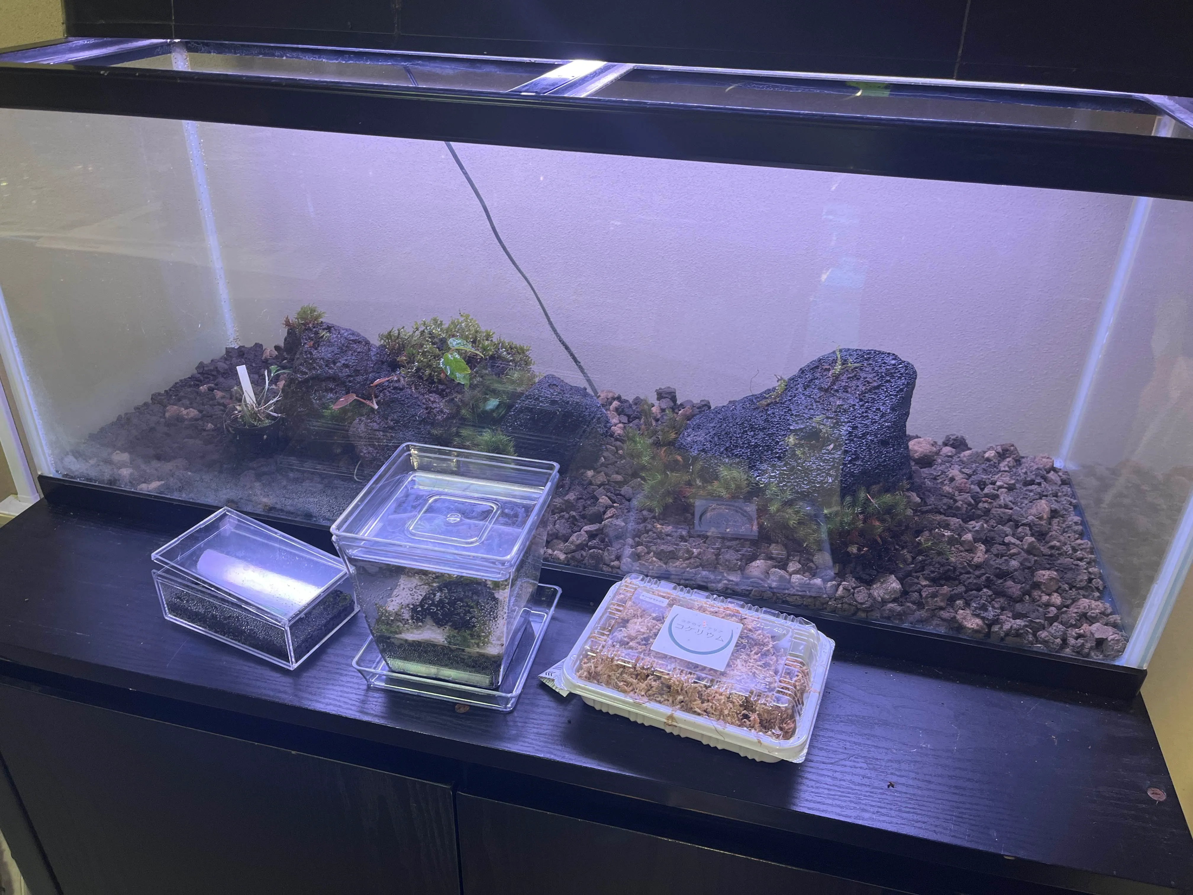 つくリウムの活動写真