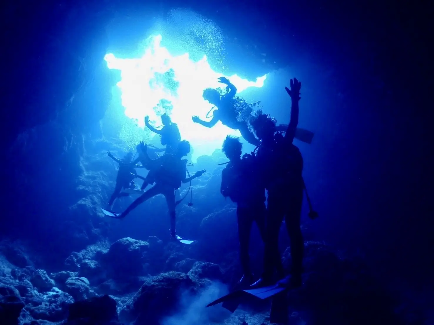 筑波マリンダイビングクラブの活動写真