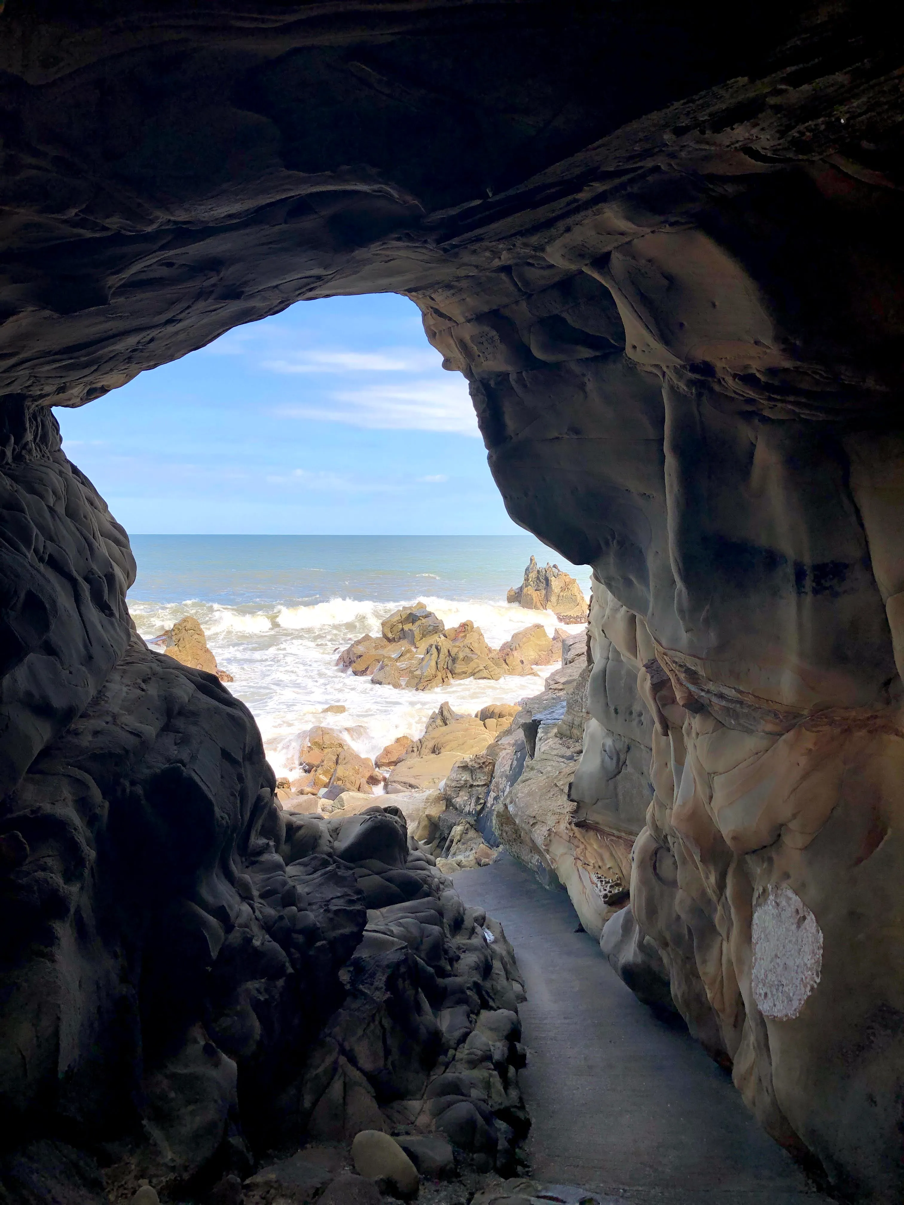 ジオネットアースの活動写真