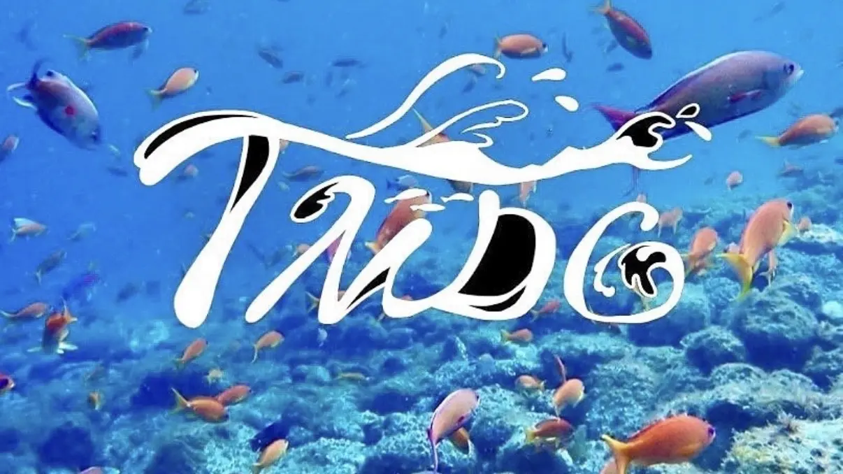 筑波マリンダイビングクラブのサムネイル画像