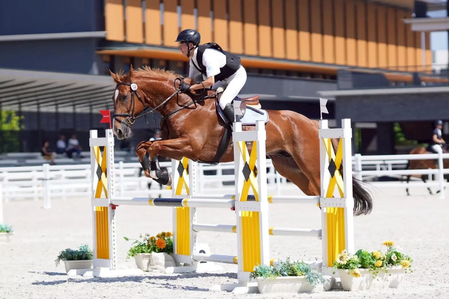 馬術部のサムネイル画像