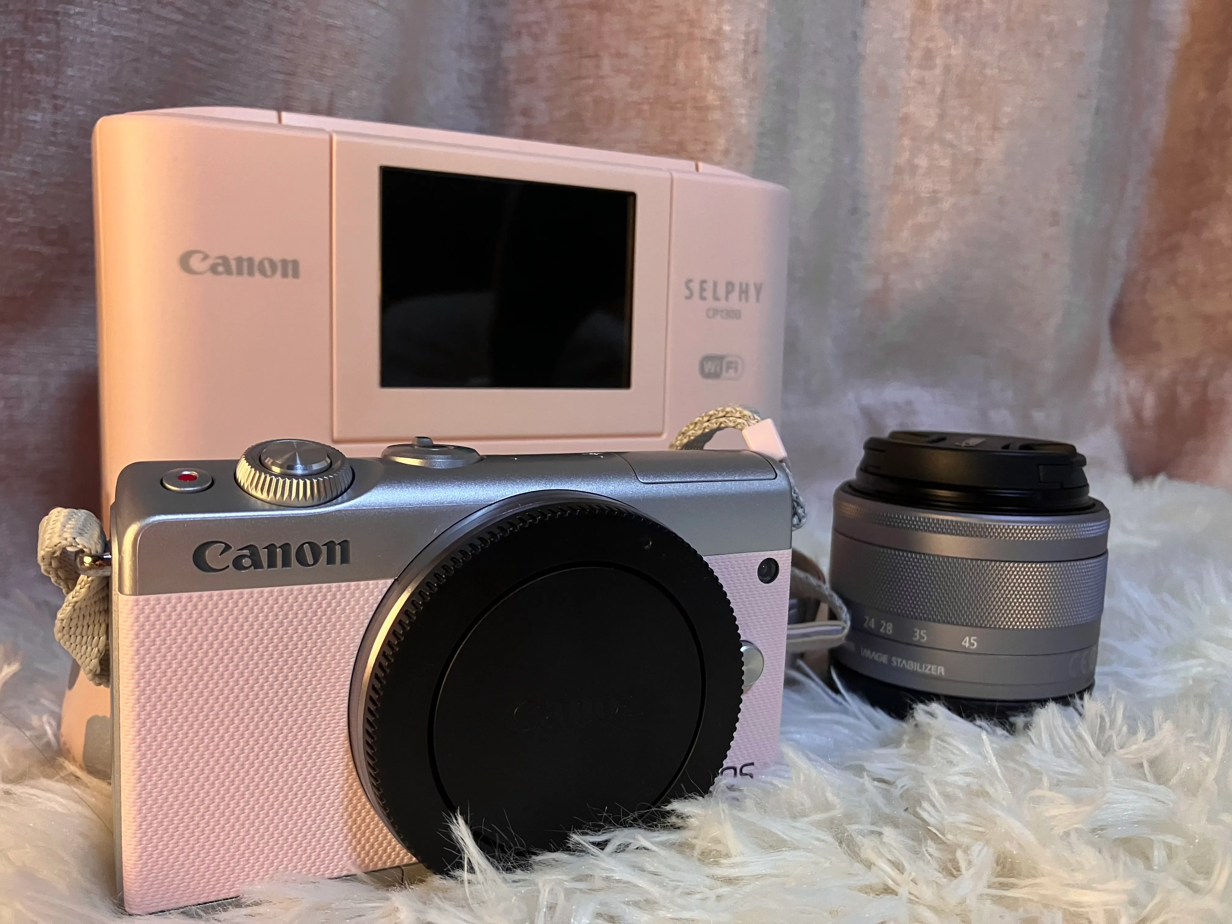 写真部さくら組の活動写真