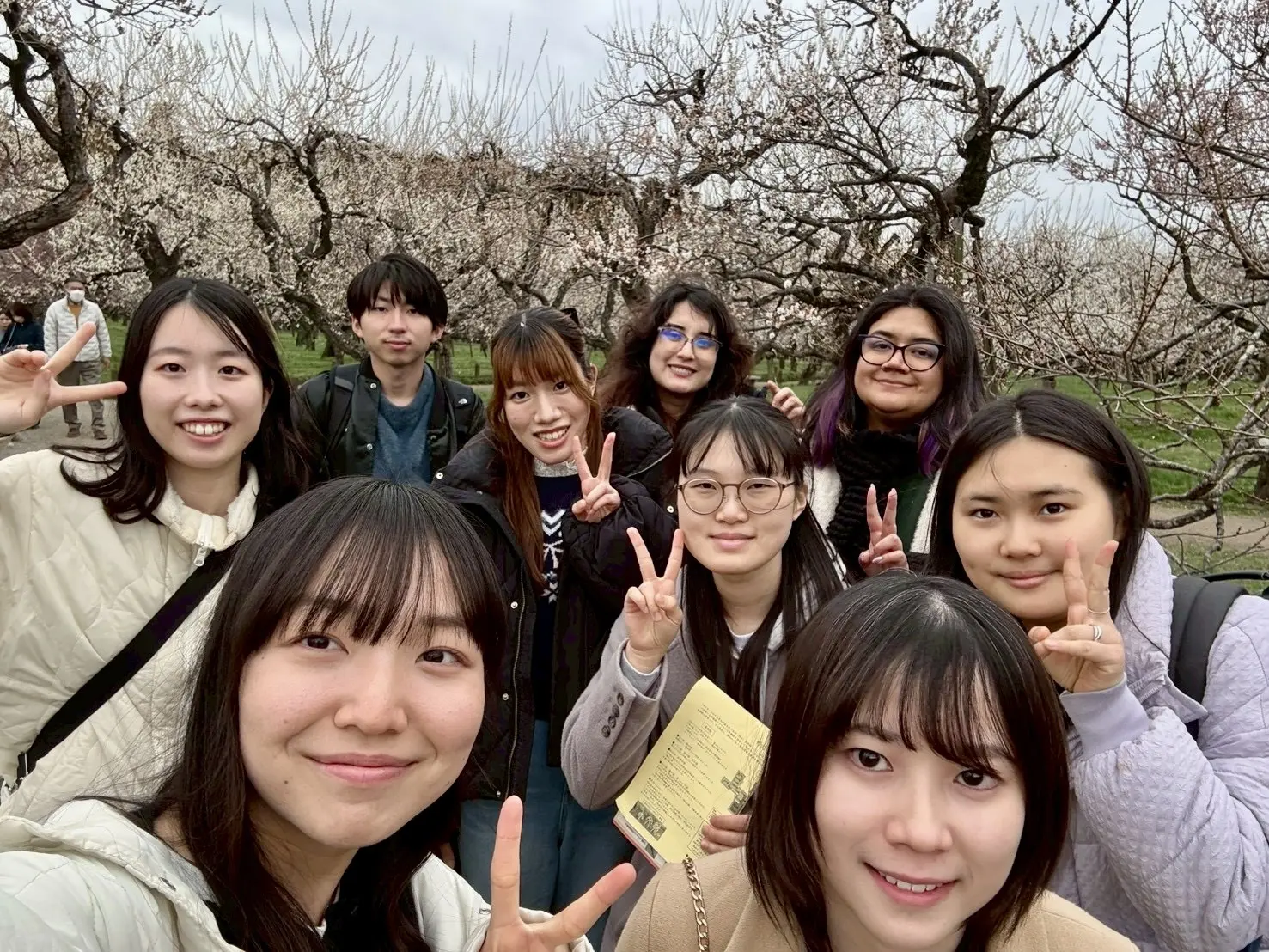 茶道部和敬清寂社の活動写真