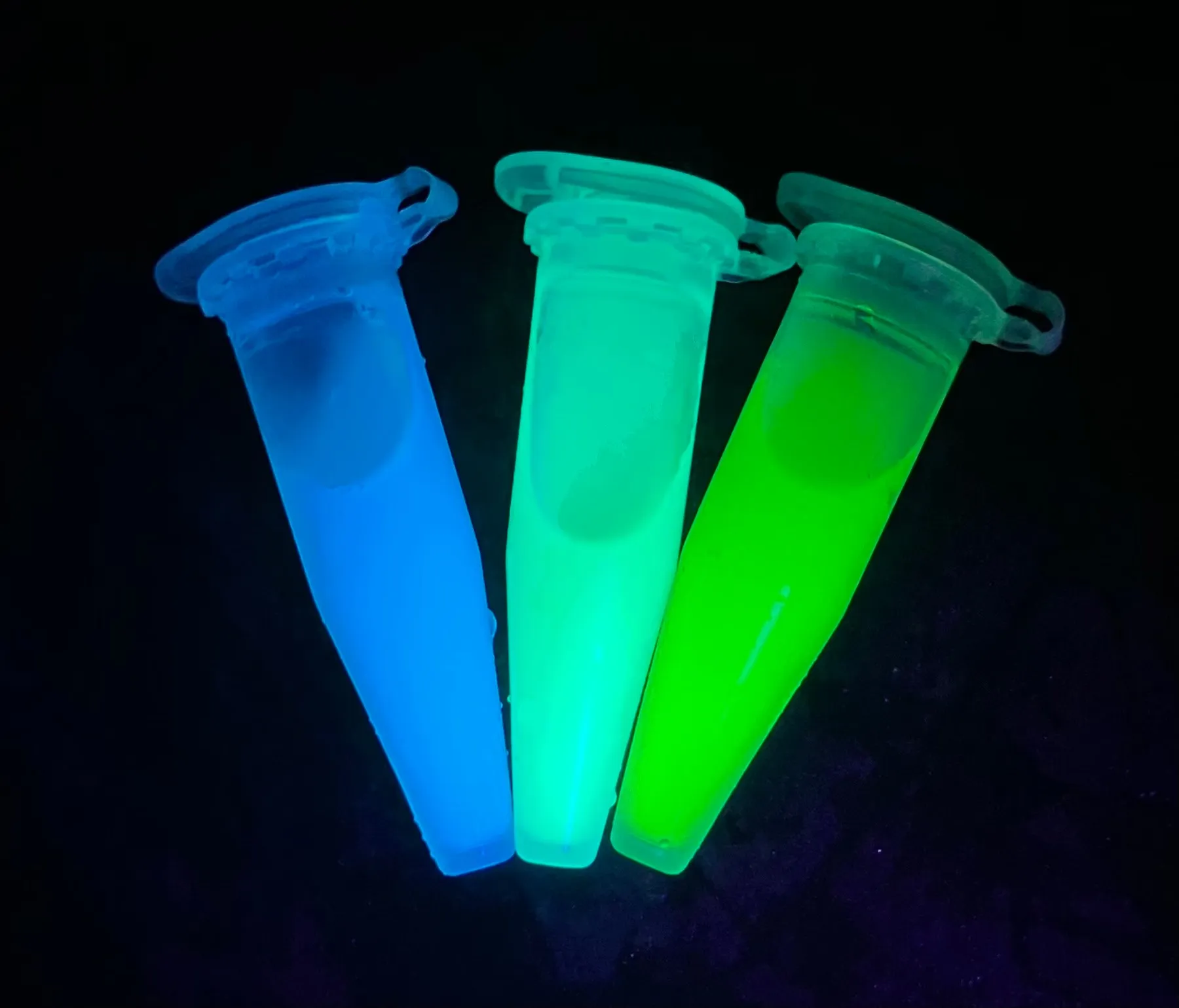 iGEM TSUKUBAの活動写真