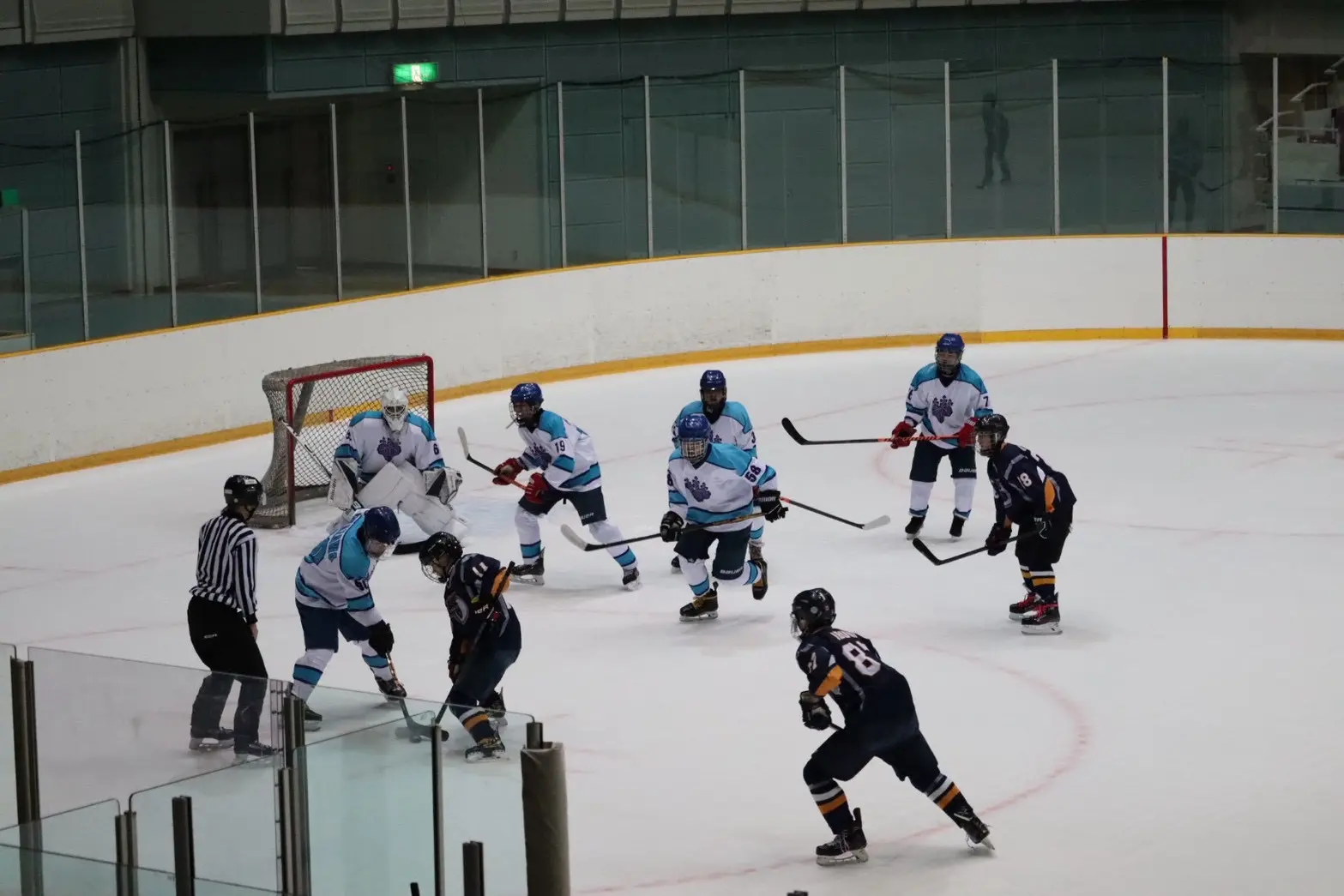 男子アイスホッケー部の活動写真