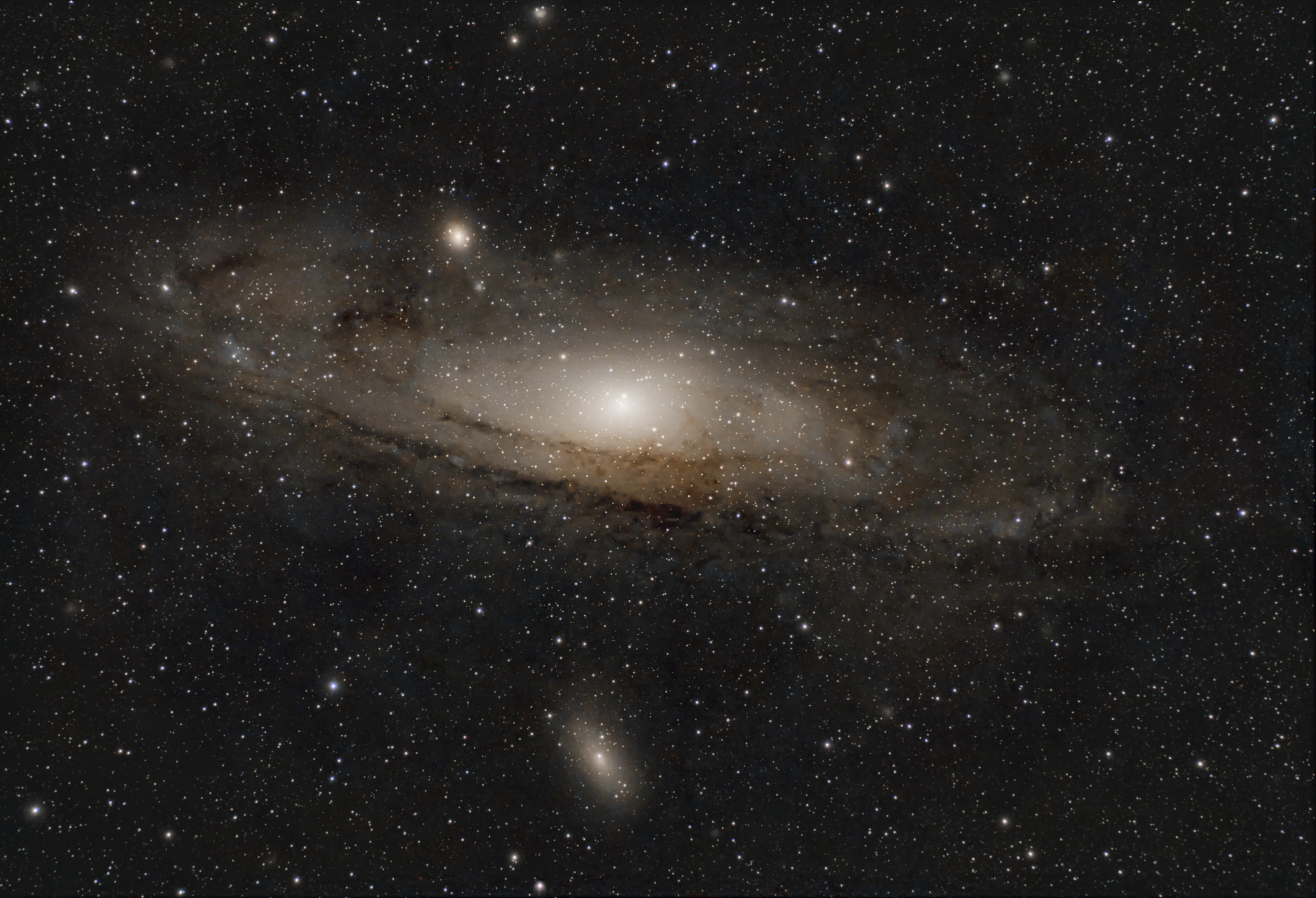 天文研究会の活動写真