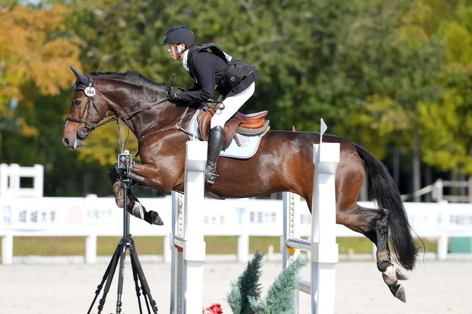 馬術部の活動写真