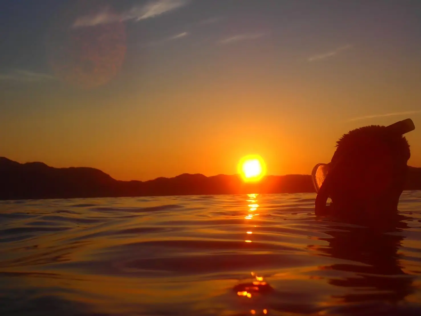 海洋研究会の活動写真